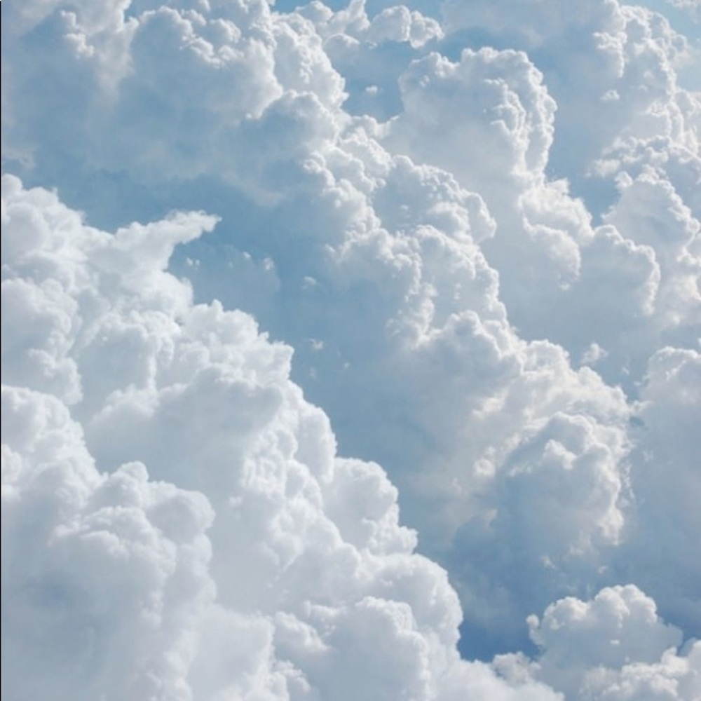 Meet your Posher, Jazmin